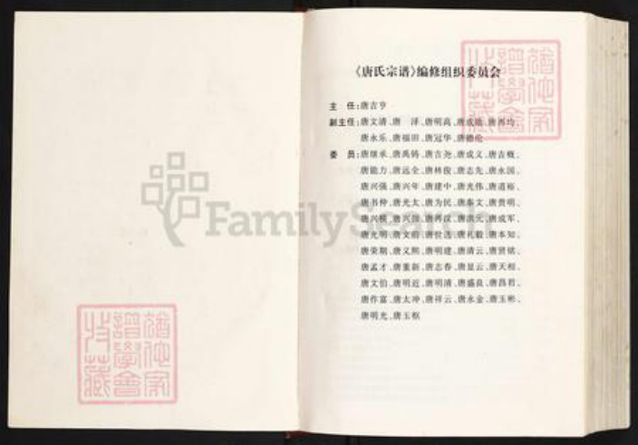 四川省资阳市安岳县护龙镇唐氏族谱-唐氏宗谱.pdf电子版插图1
