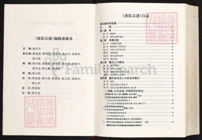 四川省资阳市安岳县护龙镇唐氏族谱-唐氏宗谱.pdf电子版插图2