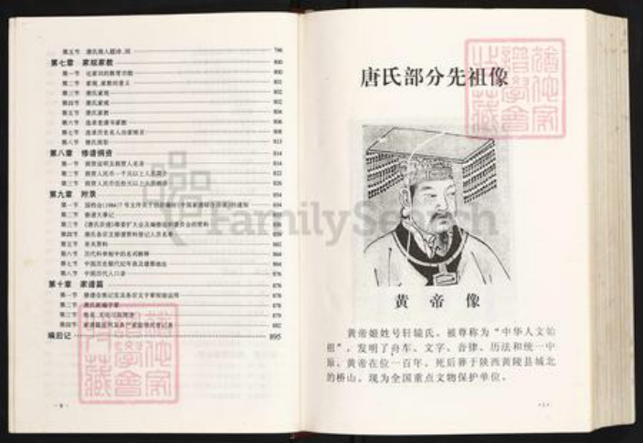 四川省资阳市安岳县护龙镇唐氏族谱-唐氏宗谱.pdf电子版插图5