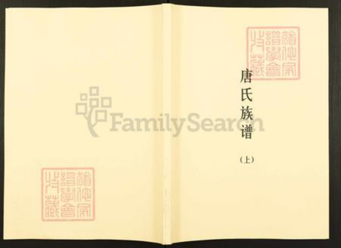 广东省梅州市五华县华城镇唐氏族谱-唐氏族谱.pdf电子版插图
