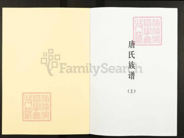 广东省梅州市五华县华城镇唐氏族谱-唐氏族谱.pdf电子版插图1