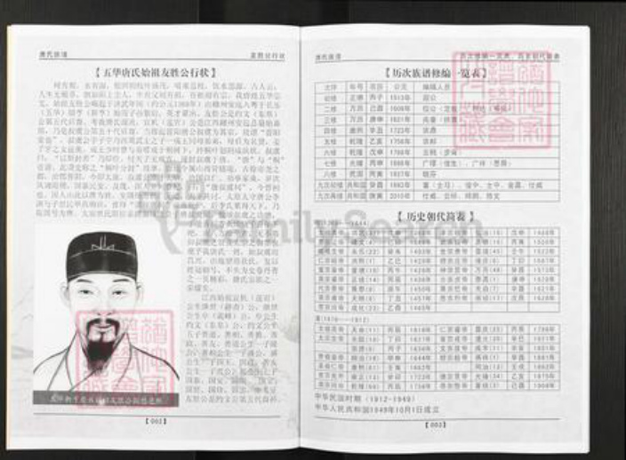 广东省梅州市五华县华城镇唐氏族谱-唐氏族谱.pdf电子版插图4