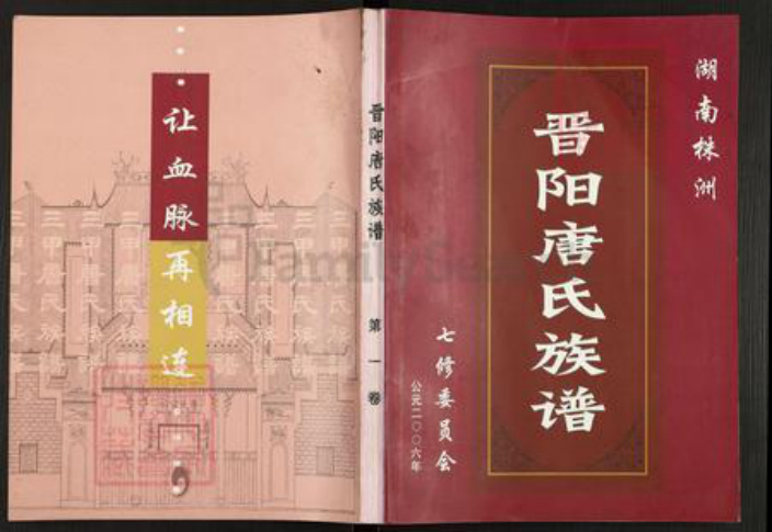 湖南省衡阳市衡阳县唐氏族谱-株洲晋阳唐氏族谱.pdf电子版插图
