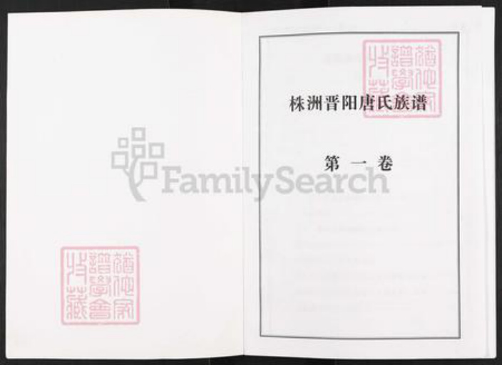 湖南省衡阳市衡阳县唐氏族谱-株洲晋阳唐氏族谱.pdf电子版插图1