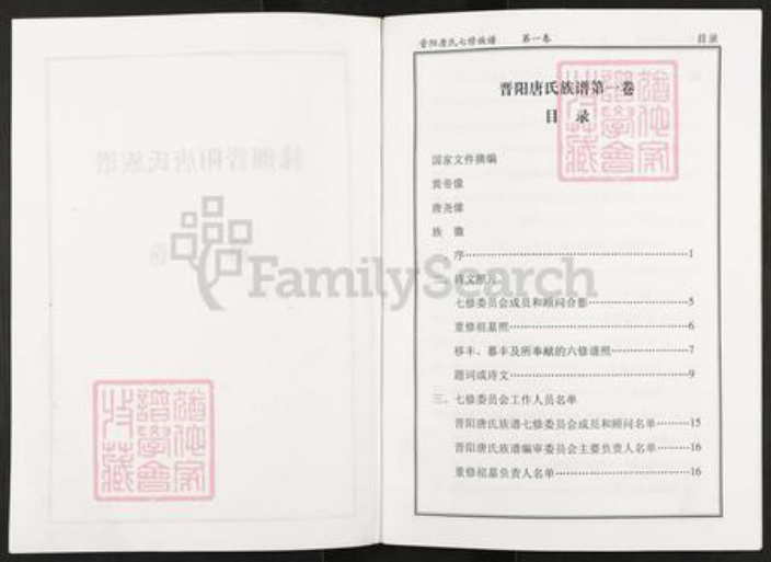 湖南省衡阳市衡阳县唐氏族谱-株洲晋阳唐氏族谱.pdf电子版插图2