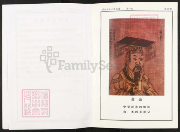 湖南省衡阳市衡阳县唐氏族谱-株洲晋阳唐氏族谱.pdf电子版插图5