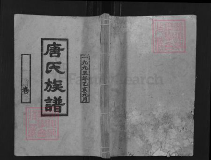 湖南省邵阳市邵阳县唐氏敦伦堂族谱-唐氏四修族谱.pdf电子版插图