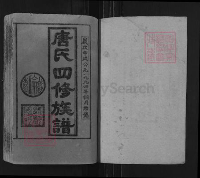 湖南省邵阳市邵阳县唐氏敦伦堂族谱-唐氏四修族谱.pdf电子版插图1