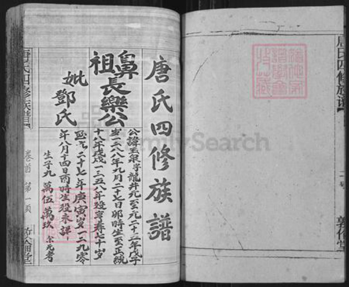 湖南省邵阳市邵阳县唐氏敦伦堂族谱-唐氏四修族谱.pdf电子版插图4