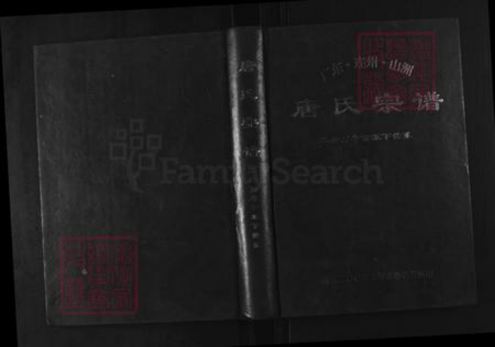 广东省清远市连州市唐氏族谱-唐氏宗谱.二房万寿公派下世系.pdf电子版插图