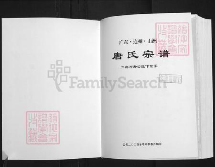 广东省清远市连州市唐氏族谱-唐氏宗谱.二房万寿公派下世系.pdf电子版插图1