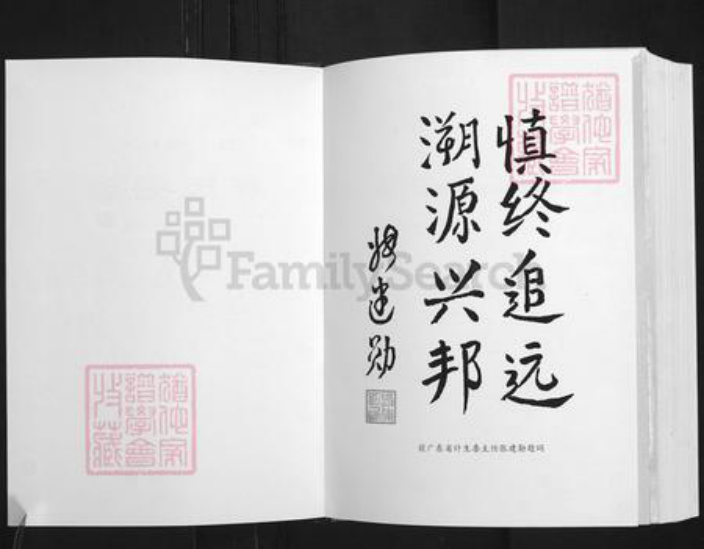 广东省清远市连州市唐氏族谱-唐氏宗谱.二房万寿公派下世系.pdf电子版插图2