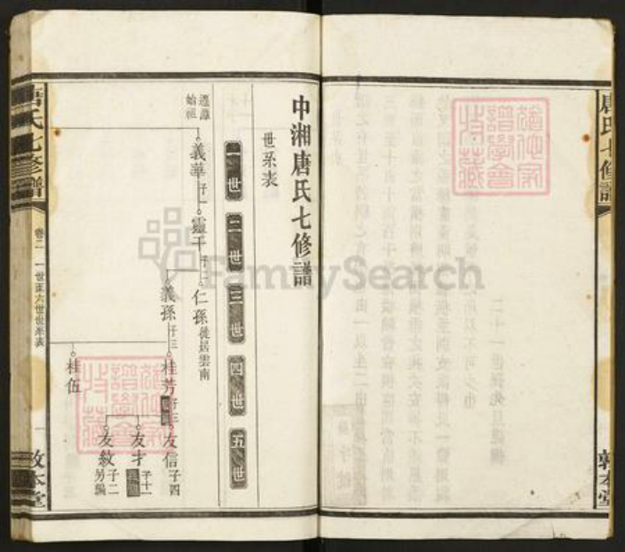 湖南省湘潭市唐氏敦本堂族谱-唐氏七修谱.pdf电子版插图2