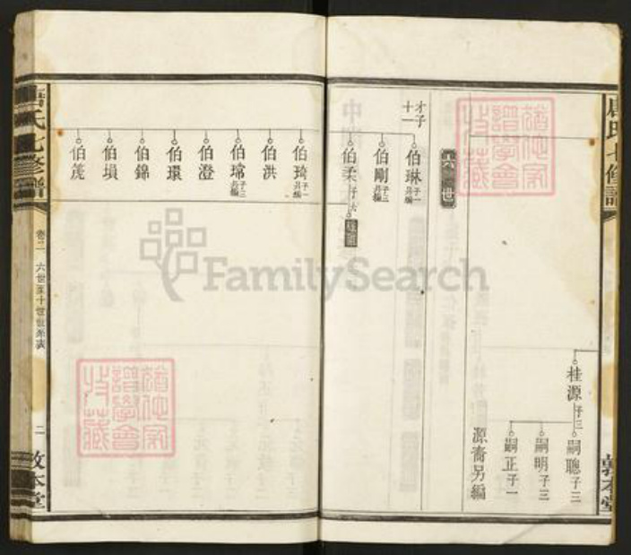 湖南省湘潭市唐氏敦本堂族谱-唐氏七修谱.pdf电子版插图3