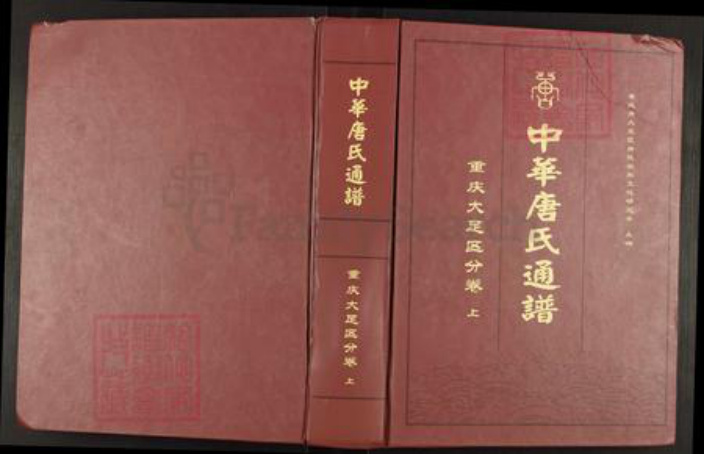 重庆市大足区高升镇唐氏族谱-中华唐氏通谱.重庆大足区分卷.pdf电子版插图
