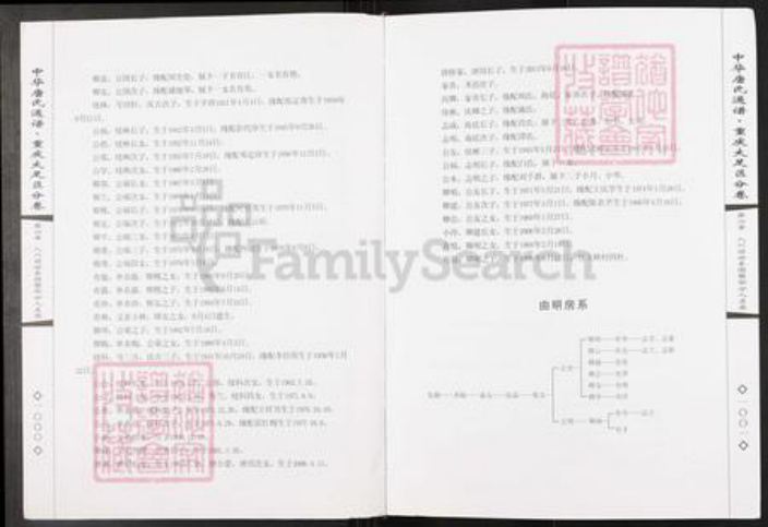 重庆市大足区唐氏族谱-中华唐氏通谱.重庆大足区分卷.pdf电子版插图3