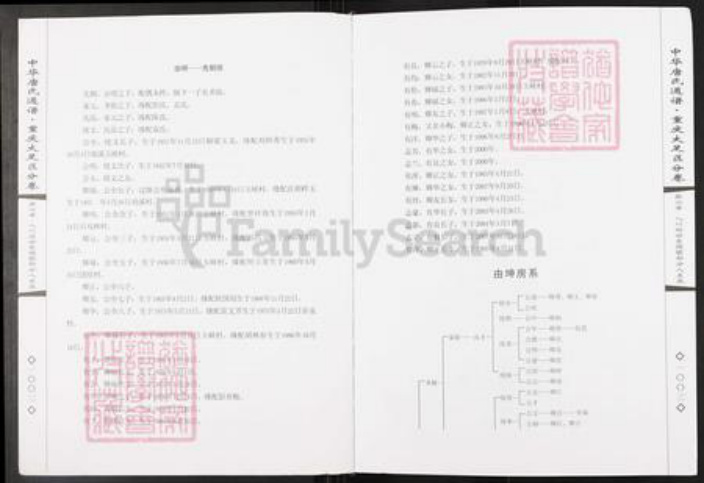重庆市大足区唐氏族谱-中华唐氏通谱.重庆大足区分卷.pdf电子版插图4