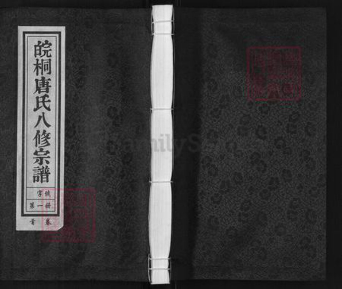 安徽省安庆市桐城市唐氏族谱-皖桐唐氏八修宗谱.pdf电子版插图