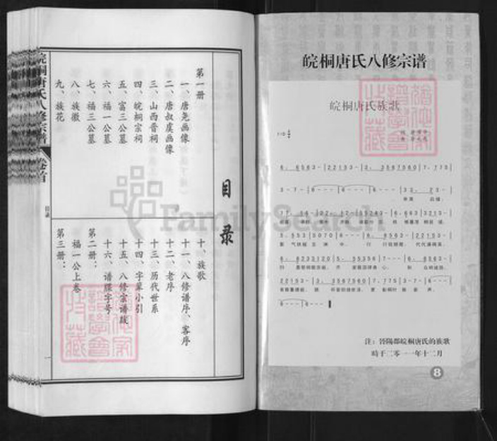 安徽省安庆市桐城市唐氏族谱-皖桐唐氏八修宗谱.pdf电子版插图2