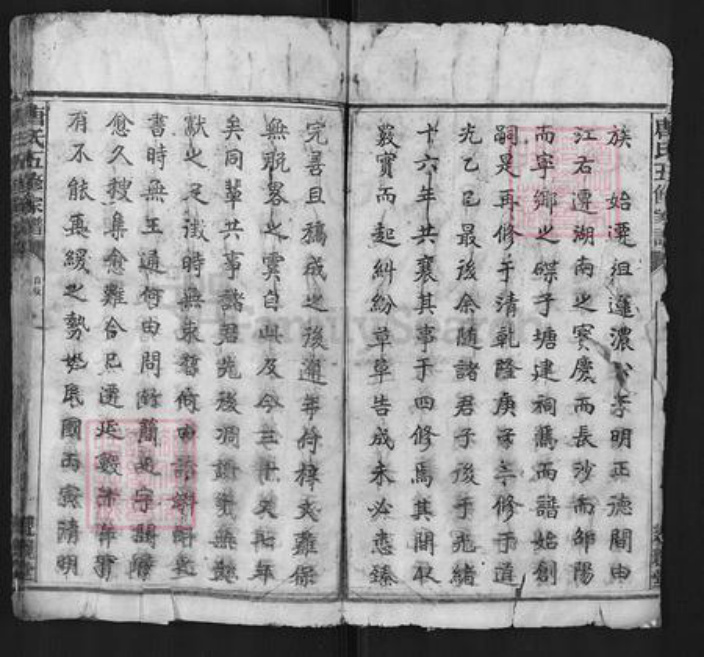 湖南省长沙市宁乡市唐氏亲亲堂族谱-唐氏五修家谱.pdf电子版插图2