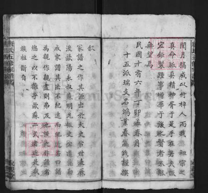 湖南省长沙市宁乡市唐氏亲亲堂族谱-唐氏五修家谱.pdf电子版插图4
