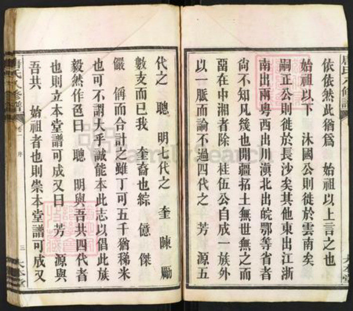 湖南省湘潭市湘潭县唐氏大本堂族谱-湘潭唐氏八修谱.pdf电子版插图3