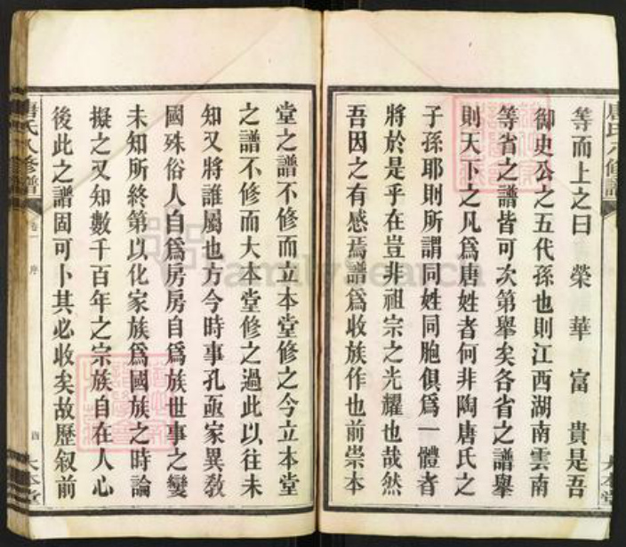 湖南省湘潭市湘潭县唐氏大本堂族谱-湘潭唐氏八修谱.pdf电子版插图4