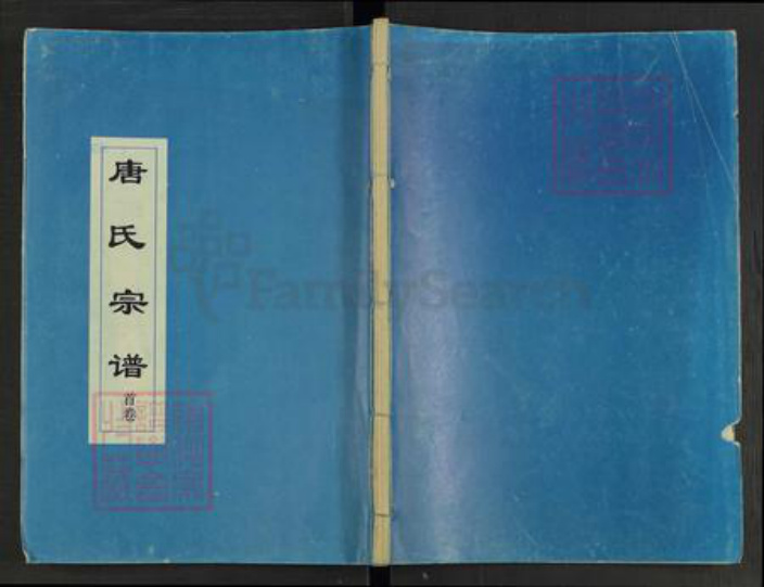 湖北省黄冈市麻城市南湖街道唐氏族谱-唐氏宗谱.pdf电子版插图