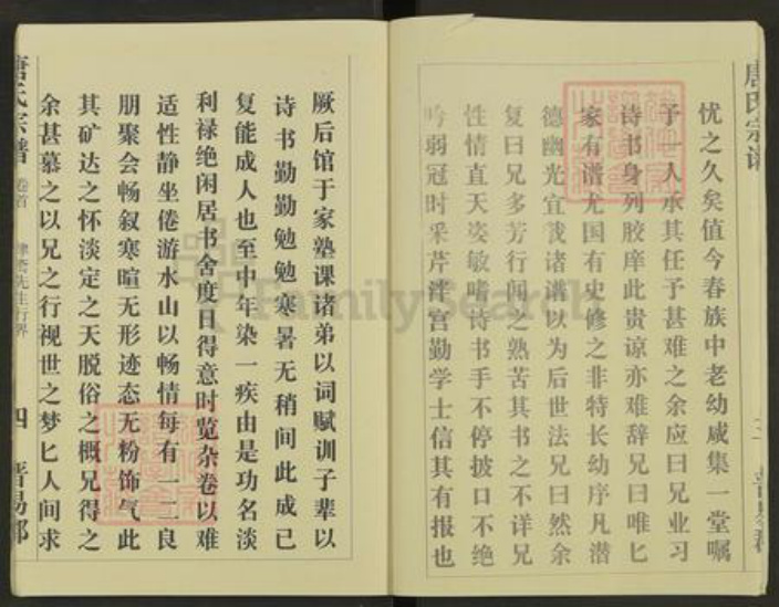 湖北省黄冈市麻城市南湖街道唐氏族谱-唐氏宗谱.pdf电子版插图5