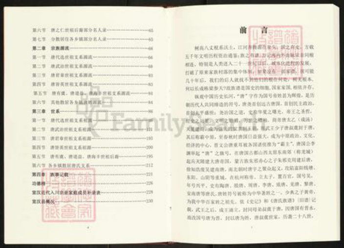 四川省四川省达州市宣汉县唐氏族谱-唐氏族谱.近代入川宗亲文化篇.pdf电子版插图3 四川省四川省达州市宣汉县唐氏族谱-唐氏族谱.近代入川宗亲文化篇.pdf电子版插图3