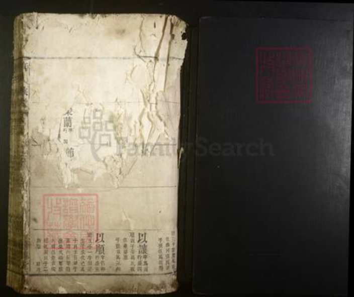 江西省宜春市丰城市唐氏族谱-唐氏族谱.pdf电子版插图1