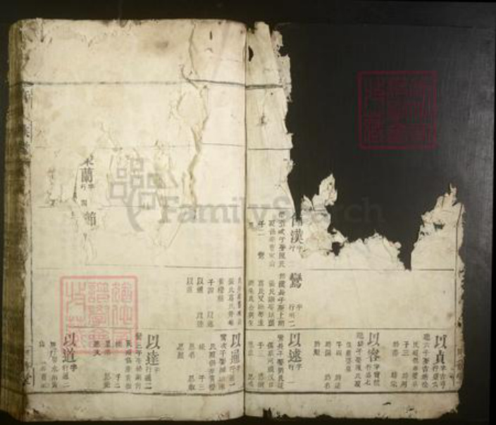 江西省宜春市丰城市唐氏族谱-唐氏族谱.pdf电子版插图2