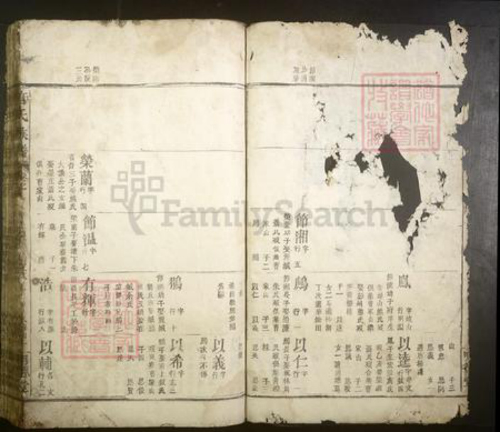 江西省宜春市丰城市唐氏族谱-唐氏族谱.pdf电子版插图3
