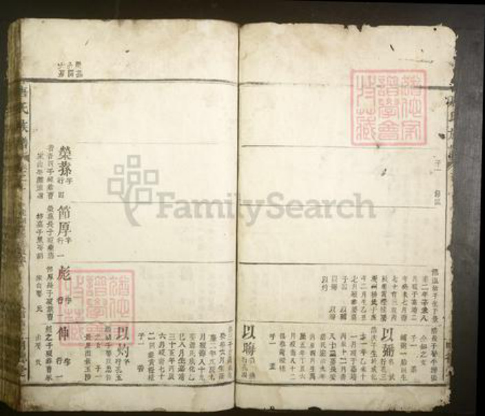江西省宜春市丰城市唐氏族谱-唐氏族谱.pdf电子版插图4
