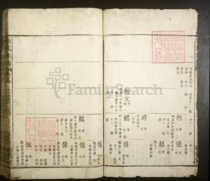 江西省宜春市丰城市唐氏族谱-唐氏族谱.pdf电子版插图5