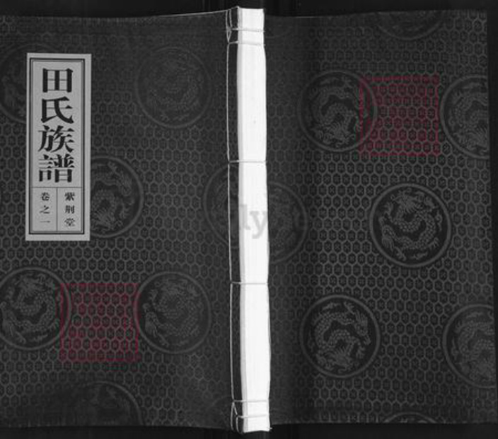 江苏省泰州市泰兴市田氏紫荆堂族谱-田氏族谱.pdf电子版插图