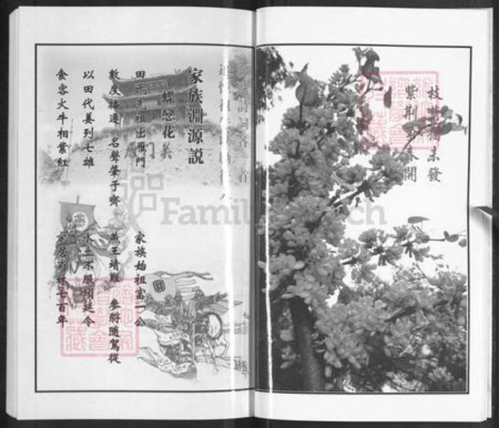 江苏省泰州市泰兴市田氏紫荆堂族谱-田氏族谱.pdf电子版插图4