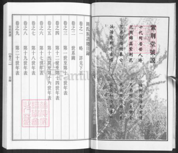 江苏省泰州市泰兴市田氏紫荆堂族谱-田氏族谱.pdf电子版插图5