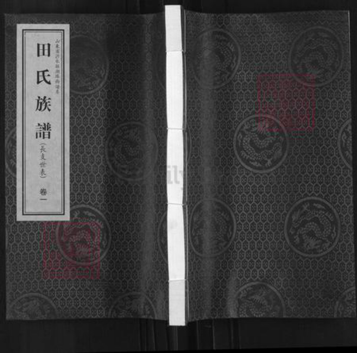 山东省临沂市沂水县田氏耕余堂族谱-田氏族谱.pdf电子版插图