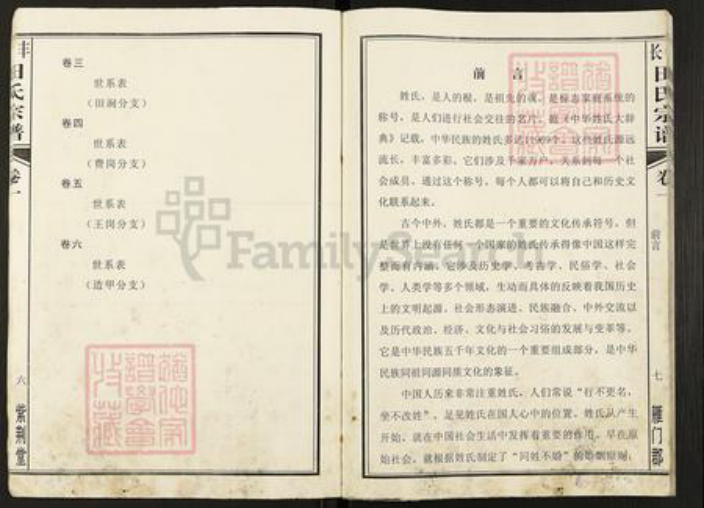 安徽省合肥市长丰县罗塘乡田氏紫荆堂族谱-长丰田氏宗谱.pdf电子版插图4