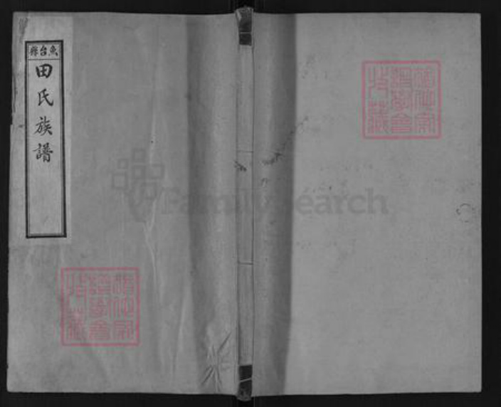 山东省济宁市鱼台县王鲁镇田氏族谱-鱼台县田氏族谱.pdf电子版插图