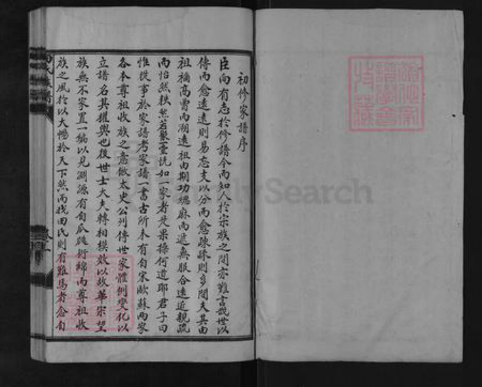 山东省济宁市鱼台县王鲁镇田氏族谱-鱼台县田氏族谱.pdf电子版插图1