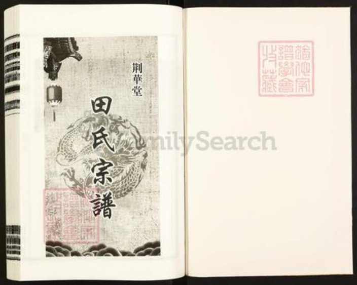 安徽省合肥市安徽省合肥市庐江县田氏荆华堂族谱-荆华堂田氏宗谱.pdf电子版插图1