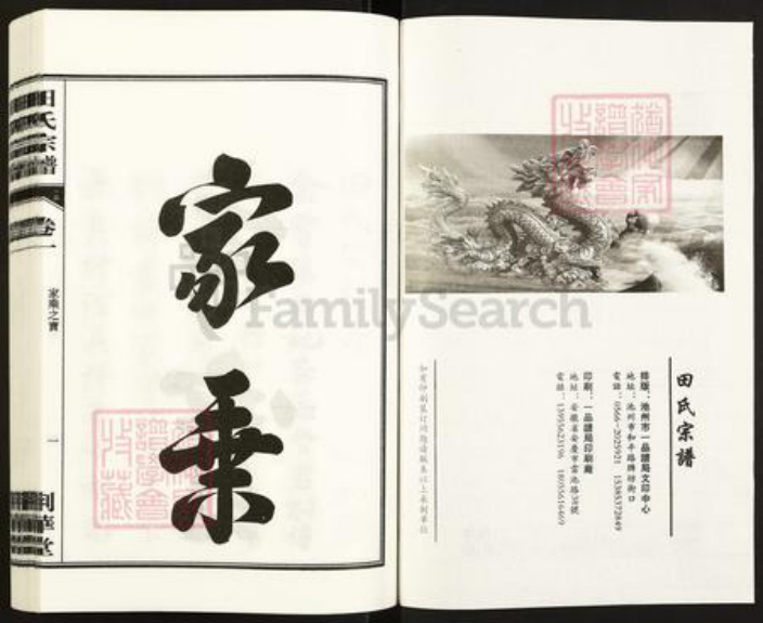 安徽省合肥市安徽省合肥市庐江县田氏荆华堂族谱-荆华堂田氏宗谱.pdf电子版插图2