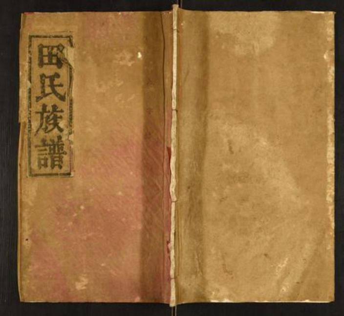 湖北省田氏族谱-田氏族谱.pdf电子版插图