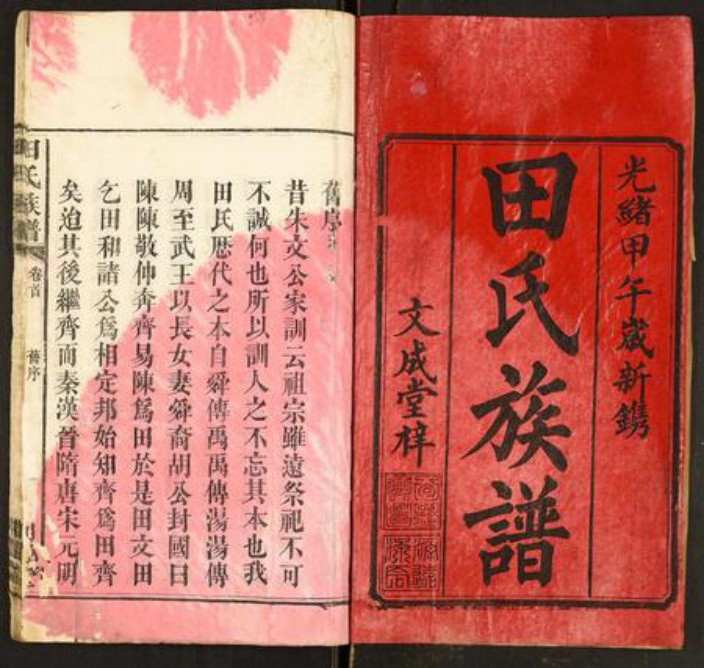 湖北省田氏族谱-田氏族谱.pdf电子版插图1