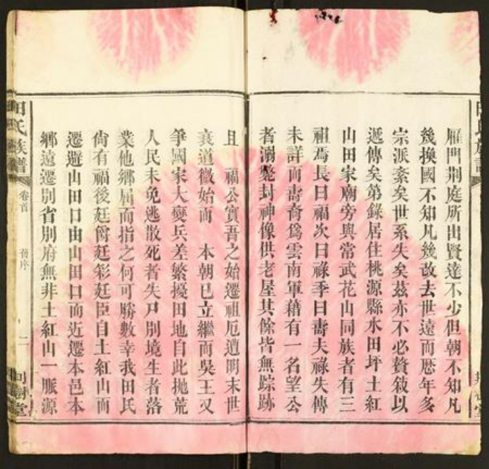 湖北省田氏族谱-田氏族谱.pdf电子版插图2