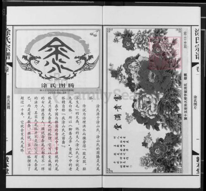 湖北省武汉市江汉区武汉涂氏敦本堂族谱-涂氏宗谱.pdf电子版插图2
