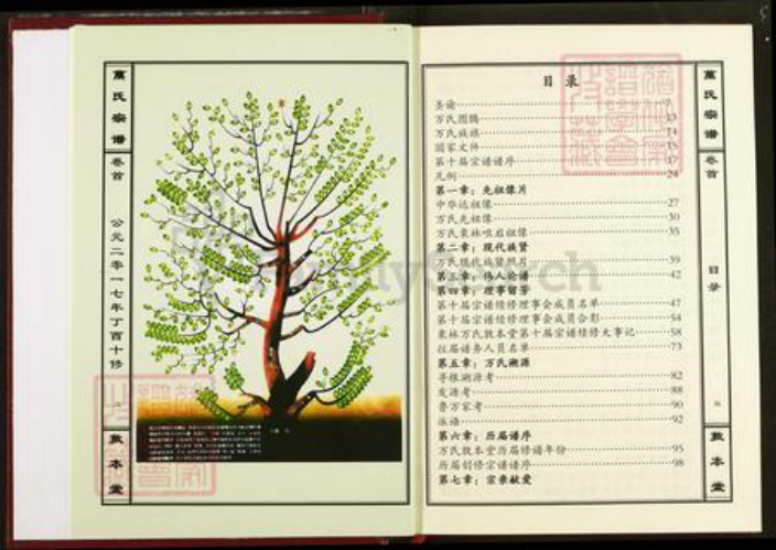 湖北省鄂州市万氏敦本堂族谱-万氏宗谱.pdf电子版插图2