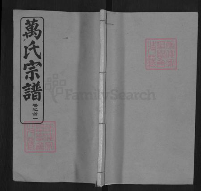 湖北省武汉市黄陂区万氏天启堂族谱-万氏宗谱.pdf电子版插图